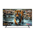 Intex LED-GQ6511 | 65” QLED Google TV